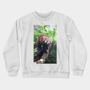 Nepalese Red Panda Crewneck Sweatshirt